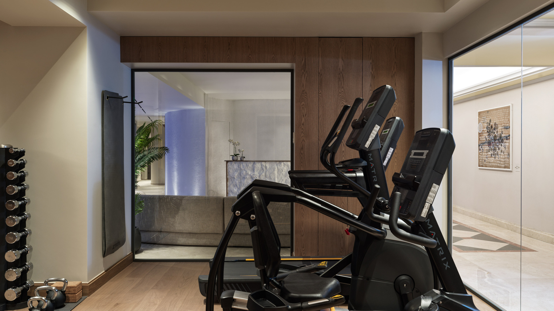 electra-palace-athens-fitness-threadmills